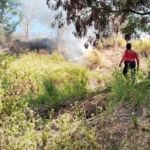 Empat Hektare Lahan di Karangasem Terbakar, Api Nyaris Melalap Rumah dan Kandang Ternak Warga