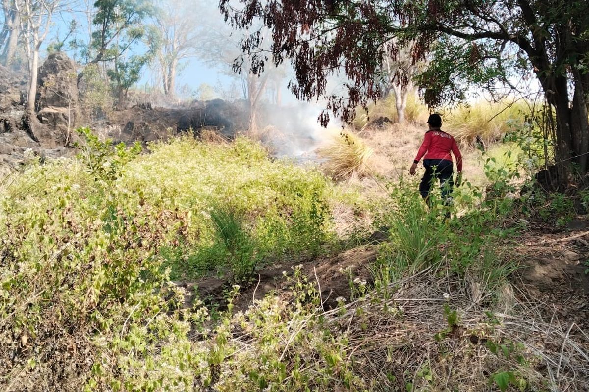 Empat Hektare Lahan di Karangasem Terbakar, Api Nyaris Melalap Rumah dan Kandang Ternak Warga
