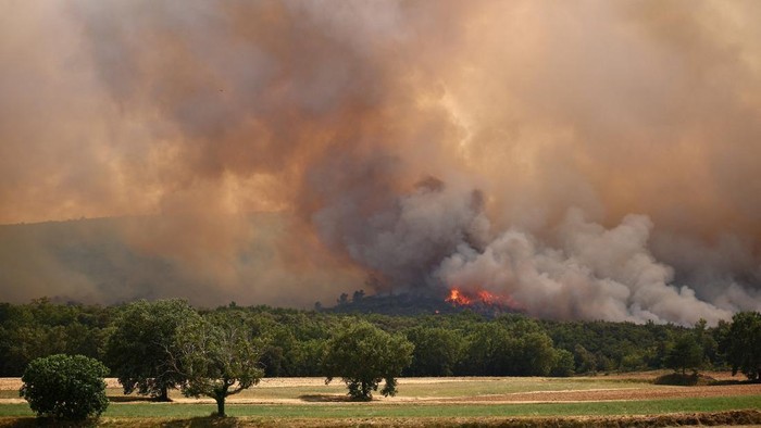 Kebakaran Hutan Meluas di Prancis, Gelombang Panas dan Kekeringan Perparah Situasi