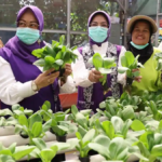 Kunjungi Posyandu Semangka, Tinawati Andra Soni Beri Apresiasi kepada Kader atas Dedikasi Melayani Masyarakat