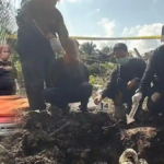 Tak Terima Hubungan Asmara Berakhir, Pria di Kalimantan Barat Diduga Habisi Nyawa Mantan Kekasih
