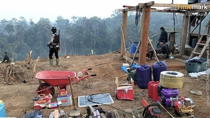 40 Hektare Zona Inti TNBBS Diduga Dirambah dan Dibakar, Empat Orang Ditetapkan sebagai Tersangka