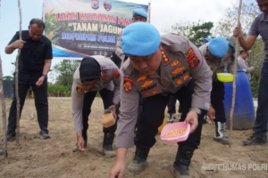 Dukung Ketahanan Pangan, Polda Maluku Tanam Jagung Seluas Dua Hektare di Buru