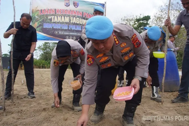 Dukung Ketahanan Pangan, Polda Maluku Tanam Jagung Seluas Dua Hektare di Buru