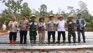 Dukung Ketahanan Pangan, Polres Kuningan Gerakkan Penanaman Bawang Putih