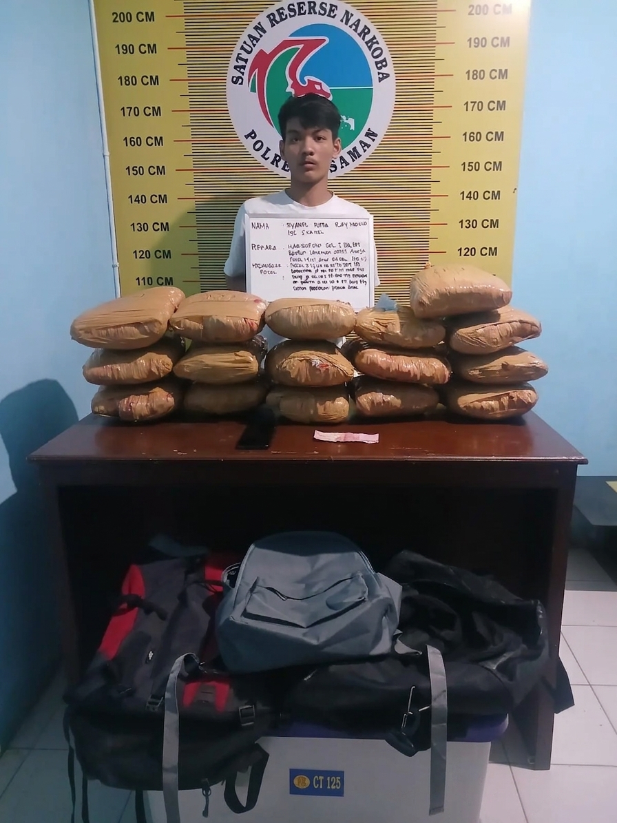 Polres Pasaman Kembali Tangkap Kurir Ganja, 16 Paket Besar Disita