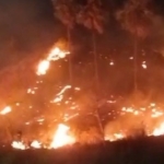 Kawasan Sabana Dekat Hotel Bintang 5 di Labuan Bajo Terbakar