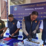 Polda Kalsel Gagalkan Penyelundupan 64 Kilogram Sisik Trenggiling, Dua Orang Diamankan