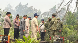 Prabowo Minta 300 Sumur Bor Dibangun di Riau untuk Percepat Penanganan Karhutla