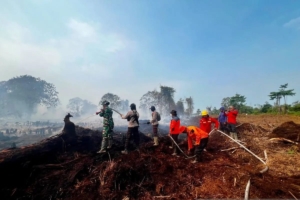 Sinergi TNI-Polri dan Pamhut Gencarkan Patroli Cegah Karhutla di Jambi
