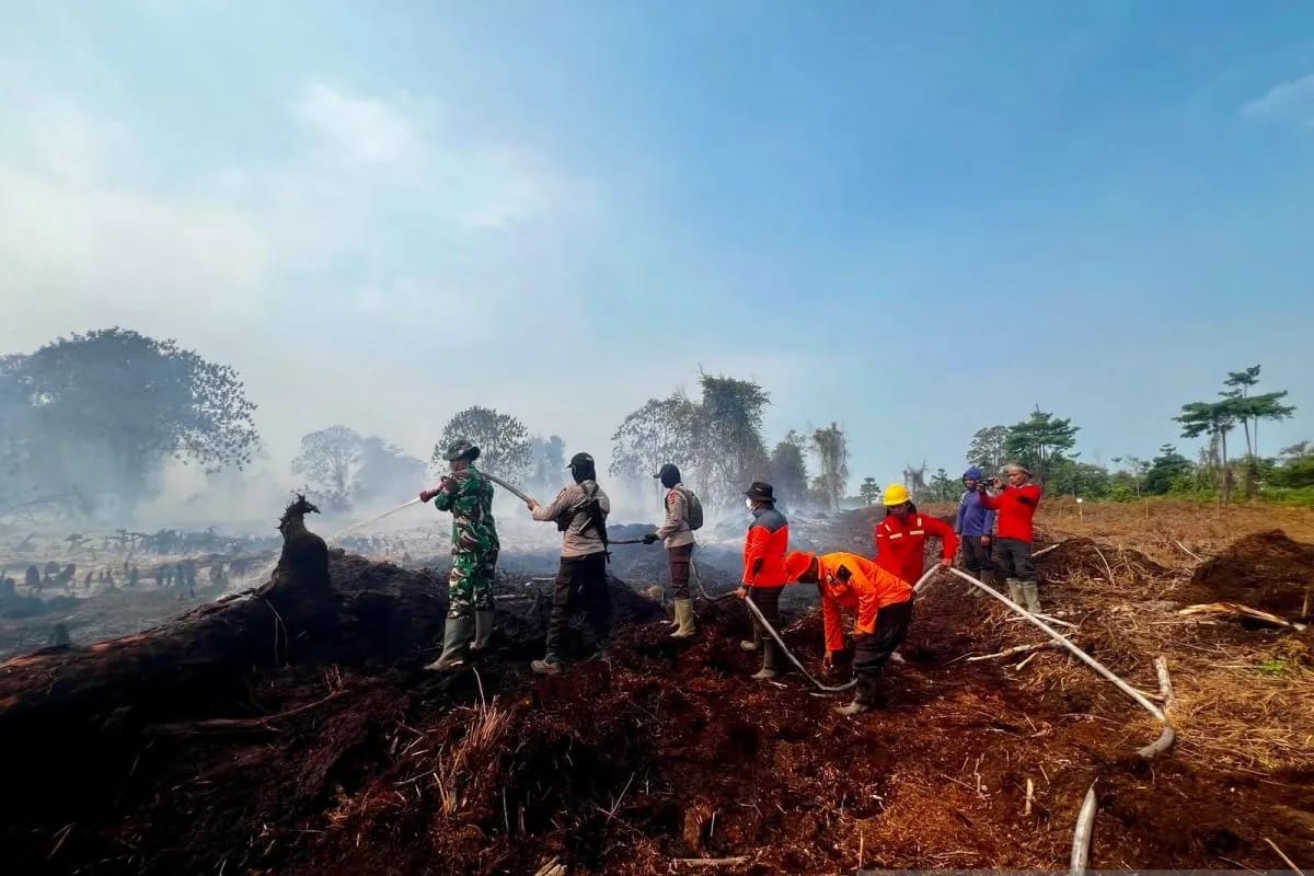Sinergi TNI-Polri dan Pamhut Gencarkan Patroli Cegah Karhutla di Jambi