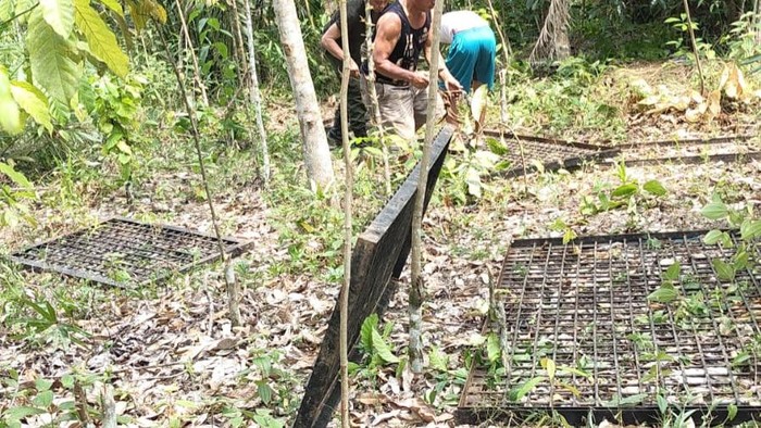 BKSDA Pasang Perangkap untuk Menangani Beruang Madu yang Berkeliaran di Permukiman Lubuklinggau