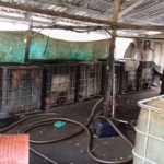 DIDUGA PENIMBUNAN SOLAR DI KALIGEDE SENORI TUBAN, MUNCUL DUGAAN INTIMIDASI