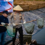 Dukung Ketahanan Pangan, Polda Metro Jaya Panen 10 Ton Ikan dan Udang di Muara Gembong