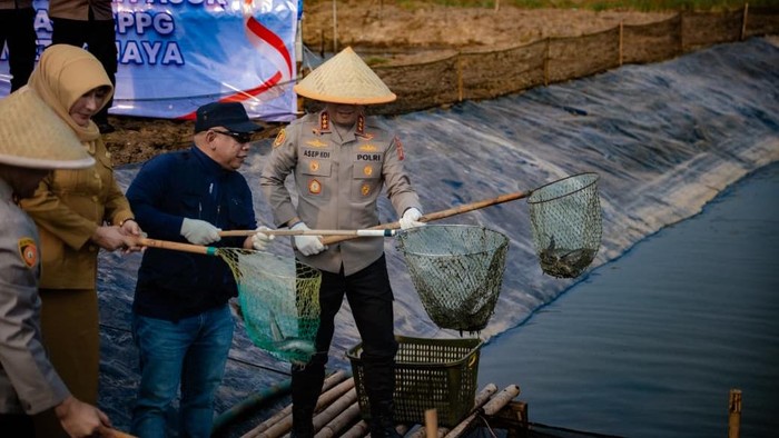 Dukung Ketahanan Pangan, Polda Metro Jaya Panen 10 Ton Ikan dan Udang di Muara Gembong