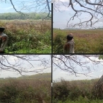 Hotspot Terdeteksi di Desa Bukit, Polsek Betung Lakukan Ground Check dan Tingkatkan Pencegahan Karhutla