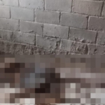 Misteri Hilangnya Kakak Beradik di Banyuasin Terungkap Setelah Lima Tahun, Dua Pelaku Diamankan