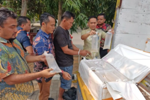 Polda Banten Gagalkan Pengiriman 150 Ribu Benih Lobster, 149.880 Ekor Dilepasliarkan | #ReserseBekerja