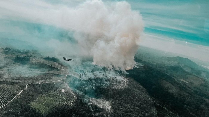 Polda Riau Terbanyak Tindak Karhutla, Tersangka Bertambah Jadi 49 Orang