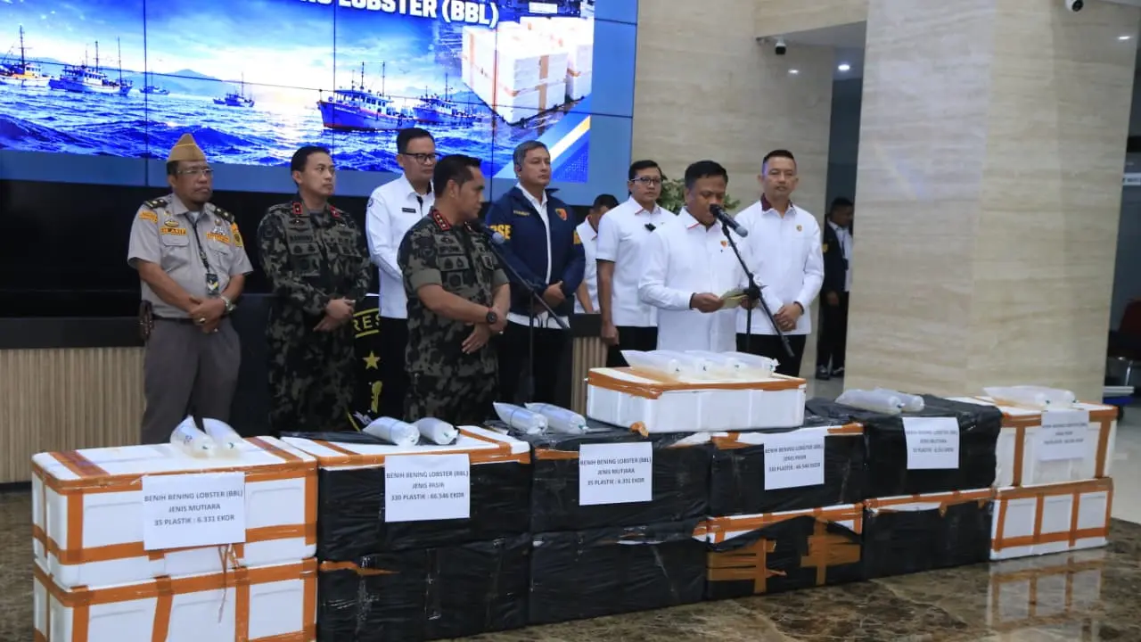 Bareskrim Polri Gagalkan Penyelundupan 73 Ribu Benih Lobster Senilai Rp 5,8 Miliar, Dua Orang Ditangkap