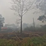 Bareskrim Polri Tetapkan 9 Perusahaan Sawit sebagai Tersangka Kasus Karhutla, Lahan Terbakar Capai 25.600 Hektare