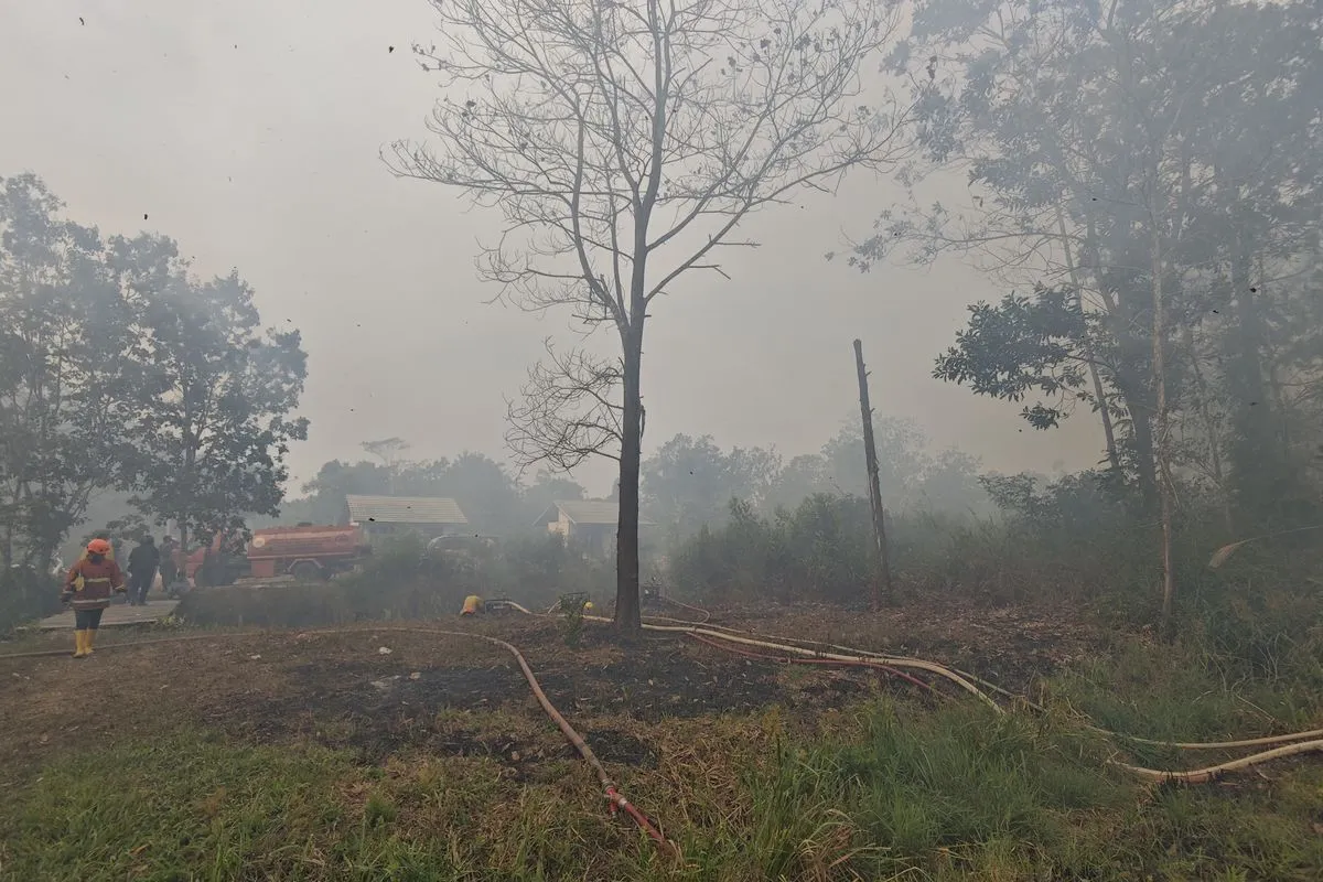 Bareskrim Polri Tetapkan 9 Perusahaan Sawit sebagai Tersangka Kasus Karhutla, Lahan Terbakar Capai 25.600 Hektare