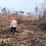 Brimob Polda Kalbar Perketat Pengawasan Lahan Bekas Karhutla di Kubu Raya
