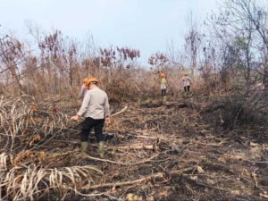 Brimob Polda Kalbar Perketat Pengawasan Lahan Bekas Karhutla di Kubu Raya