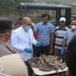 Geger Puluhan Bungkusan Mirip Pocong di Magelang, Hasil Pemeriksaan Pastikan Berisi Tulang Hewan