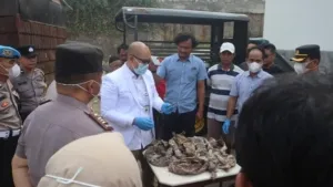 Geger Puluhan Bungkusan Mirip Pocong di Magelang, Hasil Pemeriksaan Pastikan Berisi Tulang Hewan