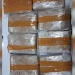 Polda Banten Ungkap Peredaran Narkotika Modus Ekspedisi, Sita 11 Kilogram Ganja dan Sabu