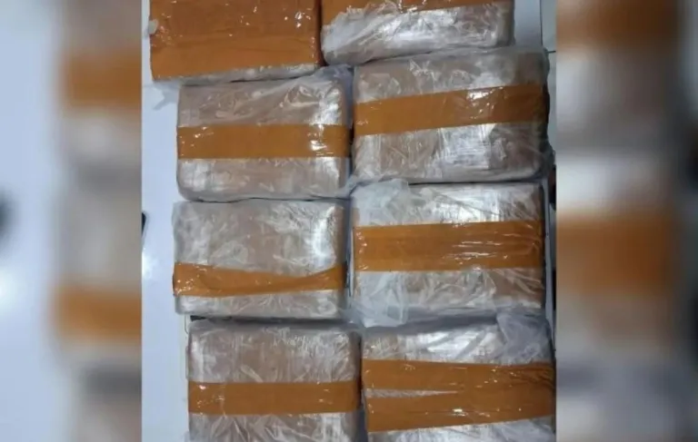 Polda Banten Ungkap Peredaran Narkotika Modus Ekspedisi, Sita 11 Kilogram Ganja dan Sabu