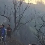 Polisi Selidiki Tewasnya Empat Orang Saat Padamkan Karhutla di Kawasan Gunung Bromo