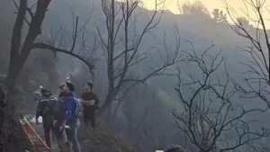 Polisi Selidiki Tewasnya Empat Orang Saat Padamkan Karhutla di Kawasan Gunung Bromo