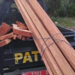 Polisi Tangkap Dua Pelaku Illegal Logging di Kawasan Hutan Lindung Jembrana