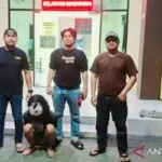 Polisi Tangkap Terduga Pelaku Penganiayaan di Bekasi Usai Kabur Hampir Dua Bulan