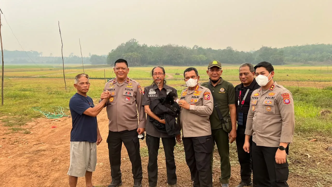 Polri Selamatkan Anak Beruang Madu Terdampak Karhutla di Kalimantan Tengah, Diberi Nama Meli