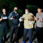 Polri Selamatkan Induk dan Bayi Orang Utan Terluka di Lokasi Karhutla Kotim