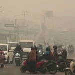 Polri Tetapkan 9 Perusahaan Sawit sebagai Tersangka Karhutla, Luas Lahan Terbakar Capai 25.600 Hektare