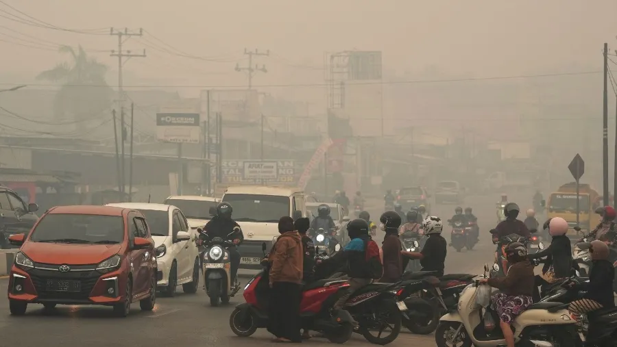 Polri Tetapkan 9 Perusahaan Sawit sebagai Tersangka Karhutla, Luas Lahan Terbakar Capai 25.600 Hektare