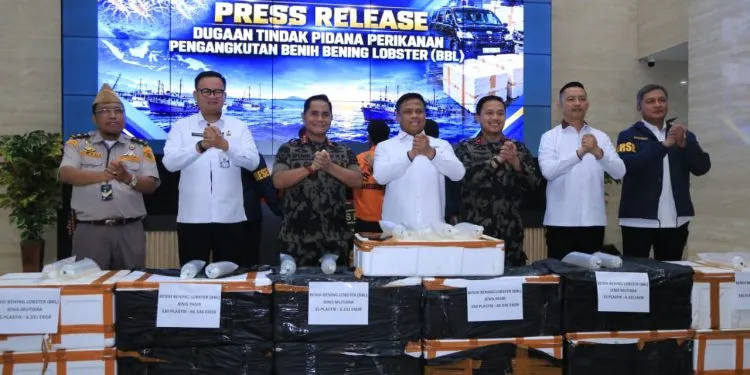 Bareskrim Polri Bongkar Dugaan Penyelundupan Baby Lobster Lintas Negara, Dua Pelaku Ditangkap di Depok