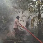 Satgas Karhutla Seruyan Bergerak Cepat Padamkan Kebakaran Lahan di Kartika Bakti