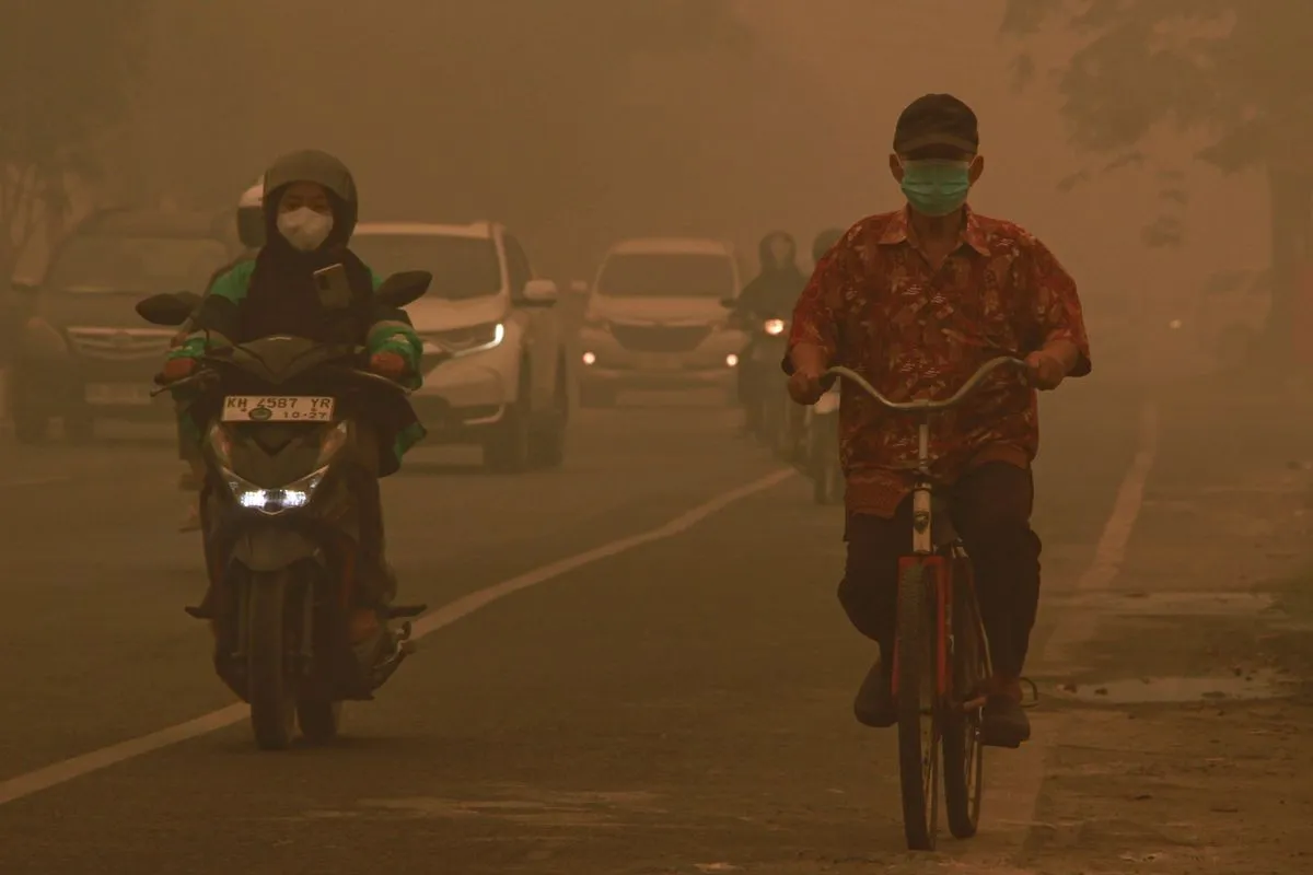 Ujian Keseriusan Polri Mengusut Perusahaan di Balik Api Karhutla