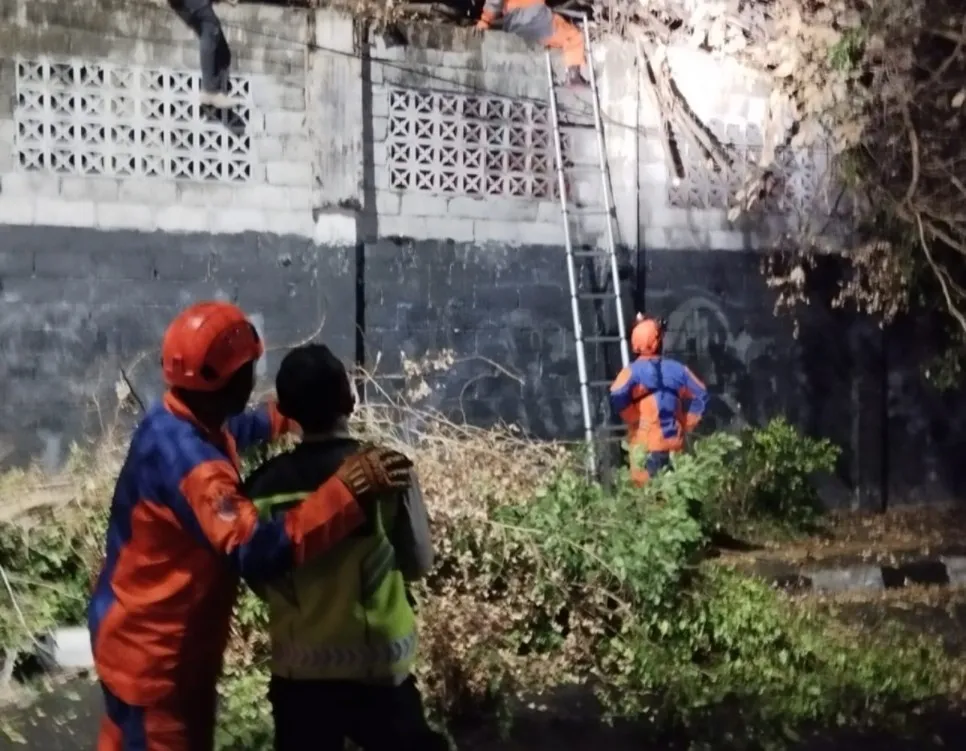 Polda DIY Imbau Warga Waspada Pembakaran Sampah, Pohon Beringin Besar Roboh di Kotabaru