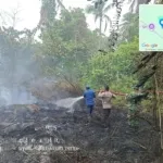 Satgas Karhutla Seruyan Kerahkan Dua Mobil Tangki BPBD, Kebakaran di Jalan Mahang Berhasil Dipadamkan