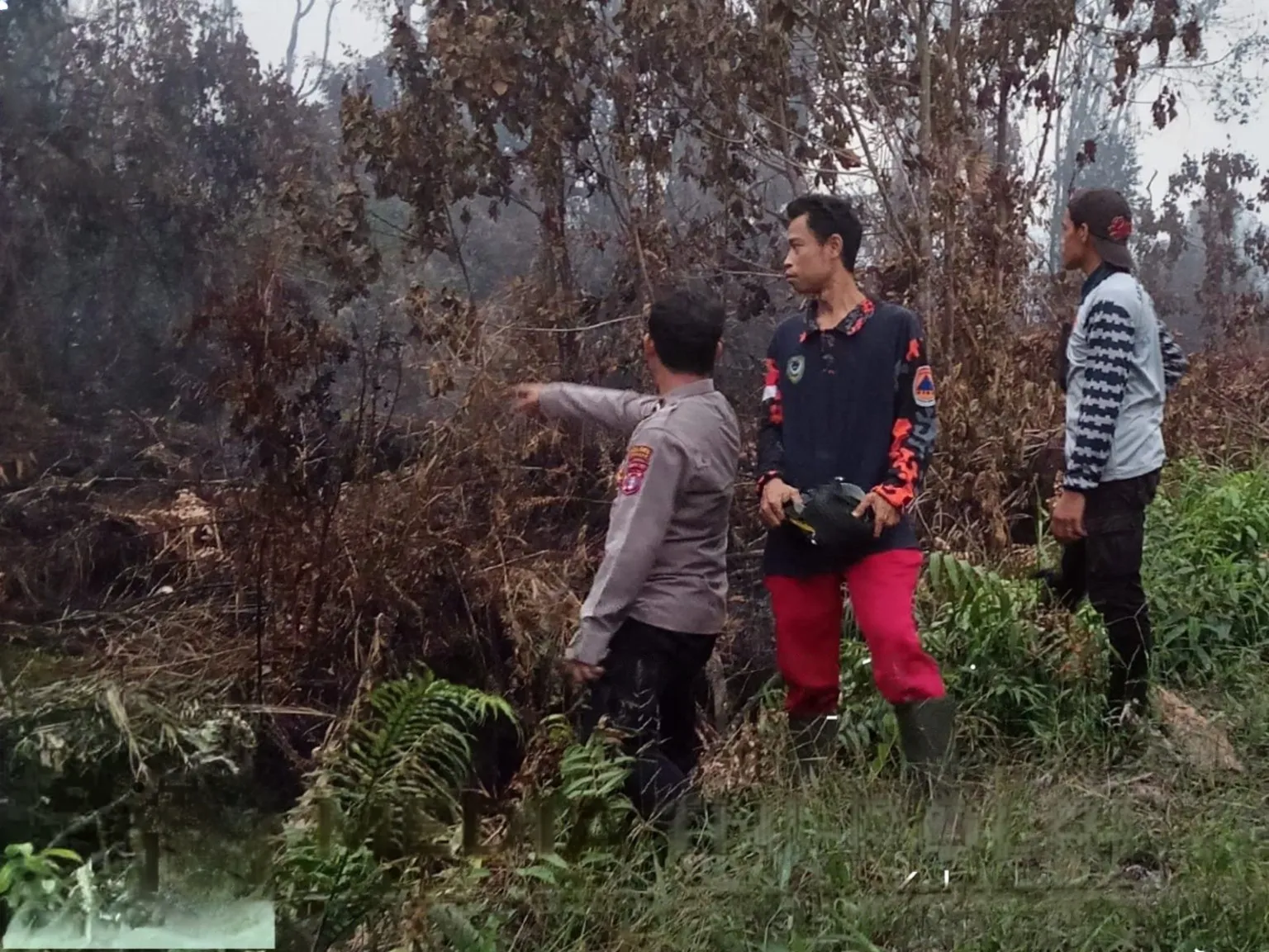 Kebakaran Lahan Seluas Dua Hektare Terjadi di Asam Baru, Titik Api Sulit Dijangkau Petugas